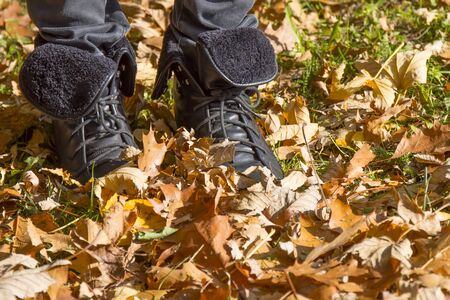Walk in the autumn park. Legs of a woman wearing boots wade dry autumn leavesの写真素材