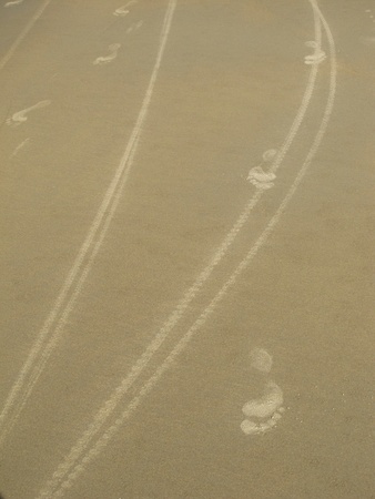 Tracks on the beachの写真素材