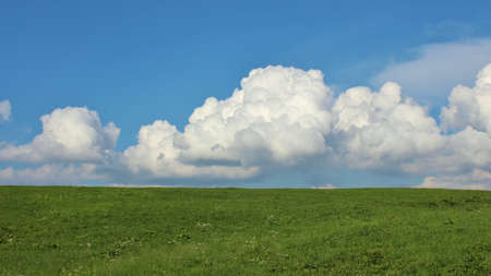 White clouds over a green meadowの写真素材