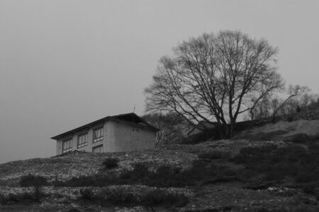House and treeの写真素材