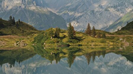 Trees mirroring in lake Trubseeの写真素材