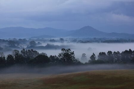 Morning fog and trees near Wauchope. Rural Australia.の写真素材