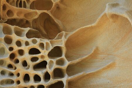 Rock in Sydney shaped by wind and weather.の写真素材