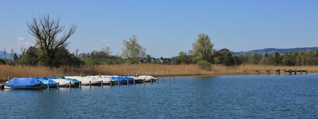 Fishing boats on the shore of lake Pfaffikon. Reed and trees. Spring scene in Auslikon, Zurich Canton.の写真素材