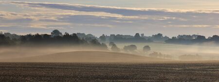 Misty summer morning in Sjaellan, Denmark.の写真素材