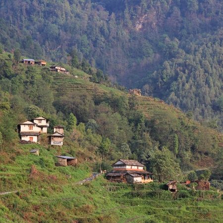 Traditional Gurung house with stone roof. Typical architecture around Landruk, Nepal.の写真素材