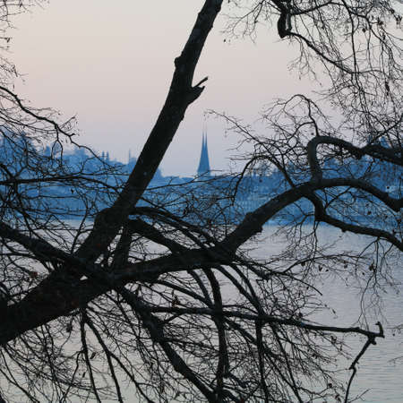 Lucerne at sunset seen trough a branch of an old tree.の写真素材