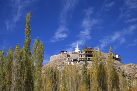 Shanti Stupa and golden trees in Leh, India.の写真素材