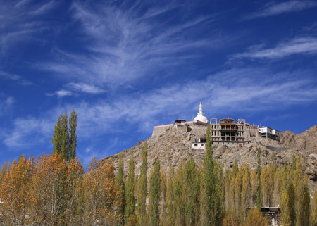 Shanti Stupa and golden autumn colors in Leh, India.