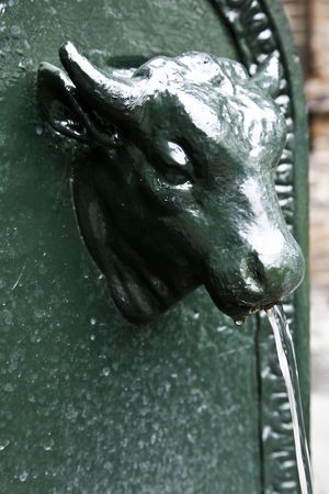 Traditional landmark of Turin town, Italy. Yhe bull is the symbol of the townの写真素材