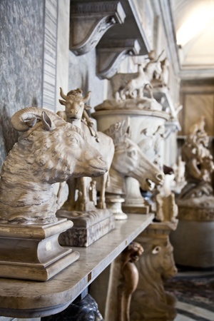 Vatican Museums, Rome, Italy: collection of statuesのeditorial素材