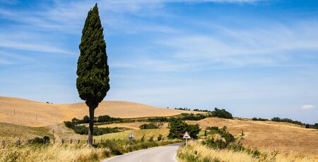 Italy, Tuscany; a road in the middle of the country, close to Ascianoの写真素材