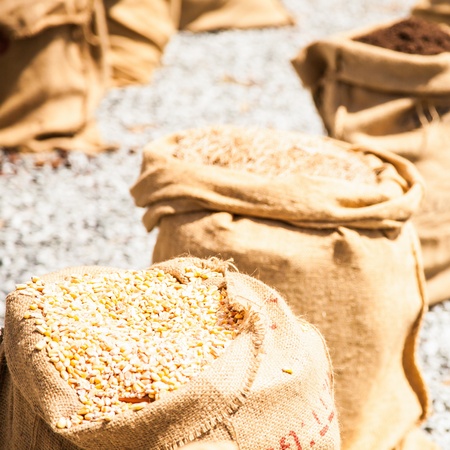 Wheat sacks during a sunny day in a warm  summer seasonの写真素材