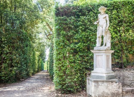Florence, Italy. Old Boboli Gardens during a sunny day in summer seasonの写真素材