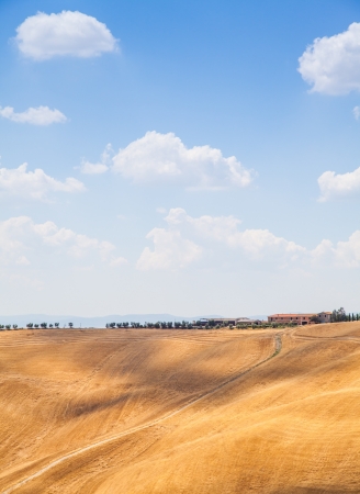 Summer season in Tuscan country, close to Sienaの写真素材