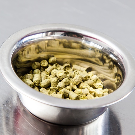 Pregiate hops in a premium Italian brewery
