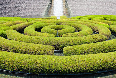 Wonderful garden maze during a sunny dayの写真素材
