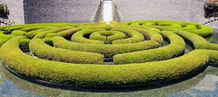 Wonderful garden maze during a sunny day