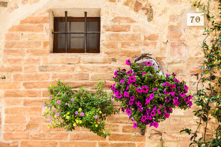 Pienza, Tuscany region, Italy. Old wall with flowersの写真素材