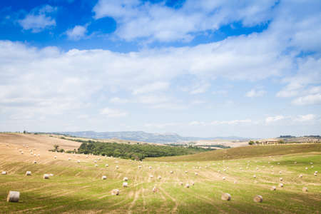 Val d'Orcia, Tuscany region, Italy. A typical landscape.の写真素材