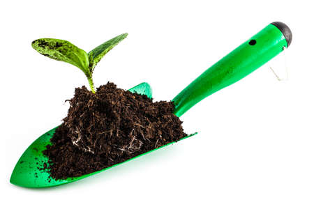 Green garden shovel isolated の写真素材