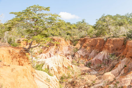 Wonderful orange colors at sunset in Marafa Canyon - also said The Hell's Kitchen. Malindi region,...