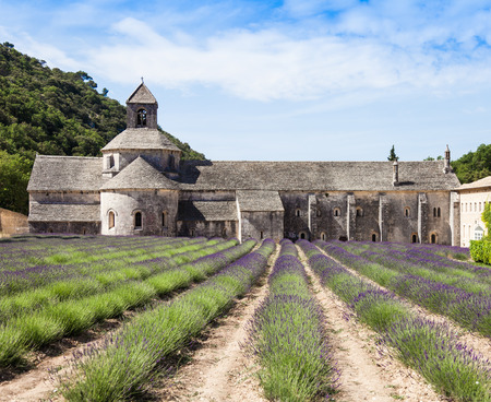 France, Provence Region, Senanque Abbey. Lavander field in summer season.のeditorial素材