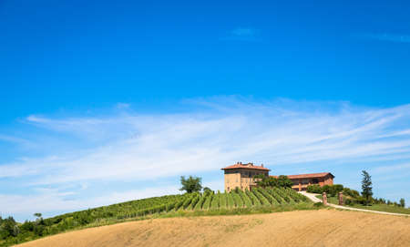 ASTI, ITALY - CIRCA AUGUST 2020: Piedmont hills in Italy, Monferrato area. Scenic countryside during summer season with vineyard field. Wonderful blue sky in background.のeditorial素材