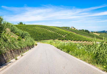 ASTI, ITALY - CIRCA AUGUST 2020: Piedmont hills in Italy, Monferrato area. Scenic countryside during summer season with vineyard field. Wonderful blue sky in background.の写真素材