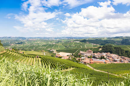 Panoramic countryside in Piedmont region, Italy. Scenic vineyard hill with the famous Barolo Castle and city.の写真素材