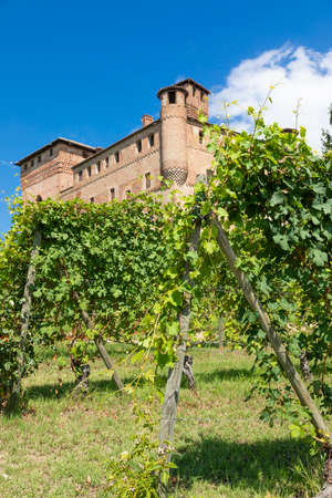 Vineyard in Piedmont Region, Italy, with Grinzane Cavour castle in the background. The Langhe is the wine district of Barolo wine.のeditorial素材