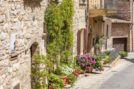 Spello, Italy - Circa June 2021: flowers in ancient street. Spello is located in Umbria region, Italy.の写真素材