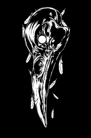 Illustration of crow skullのイラスト素材