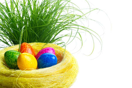 Colorful painted easter eggs in nestの写真素材