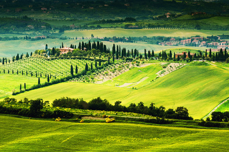 Landscape in Tuscanyの写真素材
