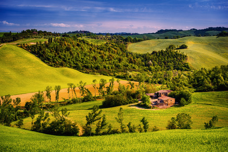 Landscape in Tuscanyの写真素材