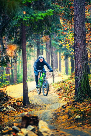 mountain biker riding in autumn forestの写真素材