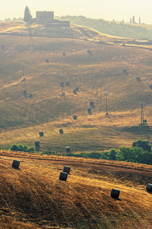 Landscape Tuscany in summerの写真素材