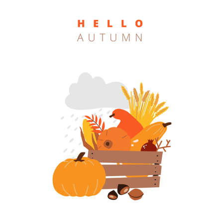 illustrations of autumn objects: fruits and vegetables, harvest, leaves, plants, pumpkin, pomegranates, figs and nuts. Cute freehand drawings to create a poster or card. Thanksgiving greeting cardsのイラスト素材