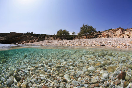 Island Timesの写真素材