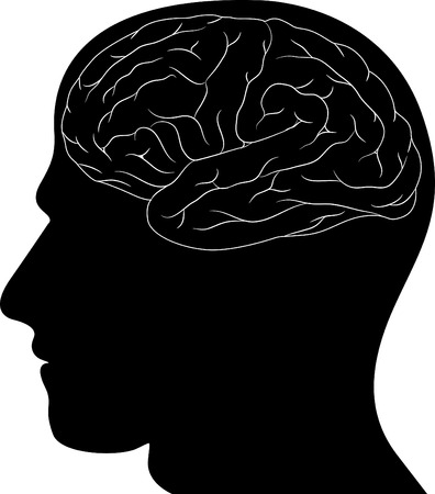 human brainのイラスト素材