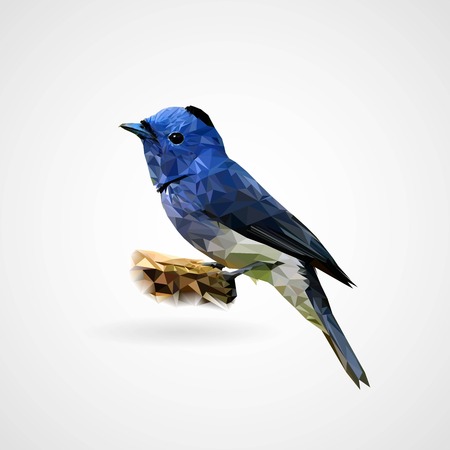 Colorful polygonal bird, Vector, Illustration, Eps Fileのイラスト素材