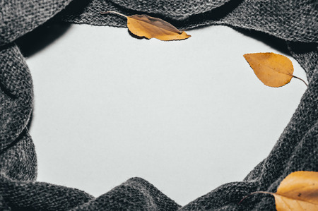 a gray scarf and yellow leaves.の写真素材