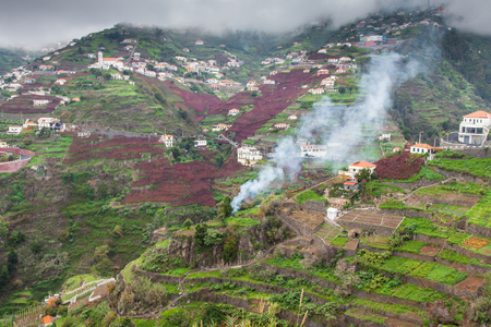 Village on the south coast of Madeira island, CÃ¢mara de Lobos - Portugalの写真素材