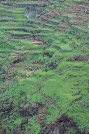 South coast of Madeira island - Portugalの写真素材