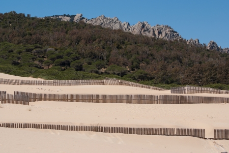 Wooden fences on deserted beach dunes in Tarifa, Spainの写真素材