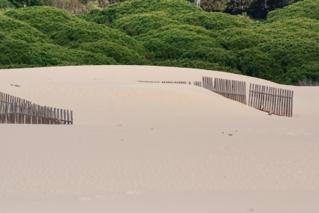 Wooden fences on deserted beach dunes in Tarifa, Spainの写真素材