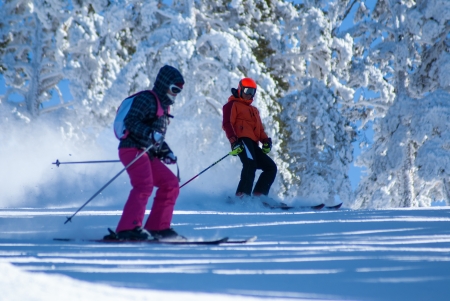 Skiing, winter, woman,men, skiing downhillの写真素材