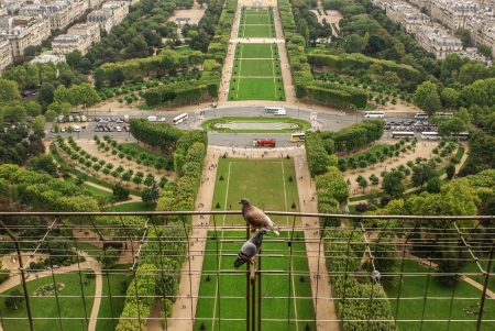 Aerial view of Paris architecture from the Eiffel tower の写真素材