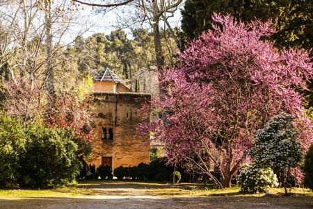 Gardens of La Alhambra in Granada, Spain